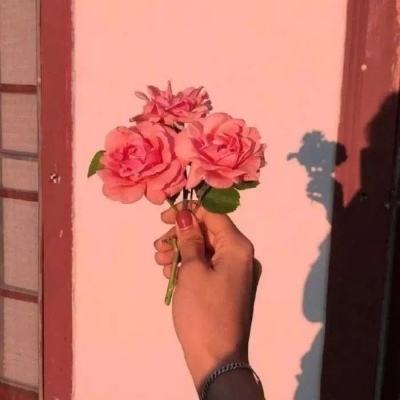 菲律宾央行：中东持续冲突推动油价和化肥价格大幅上涨。